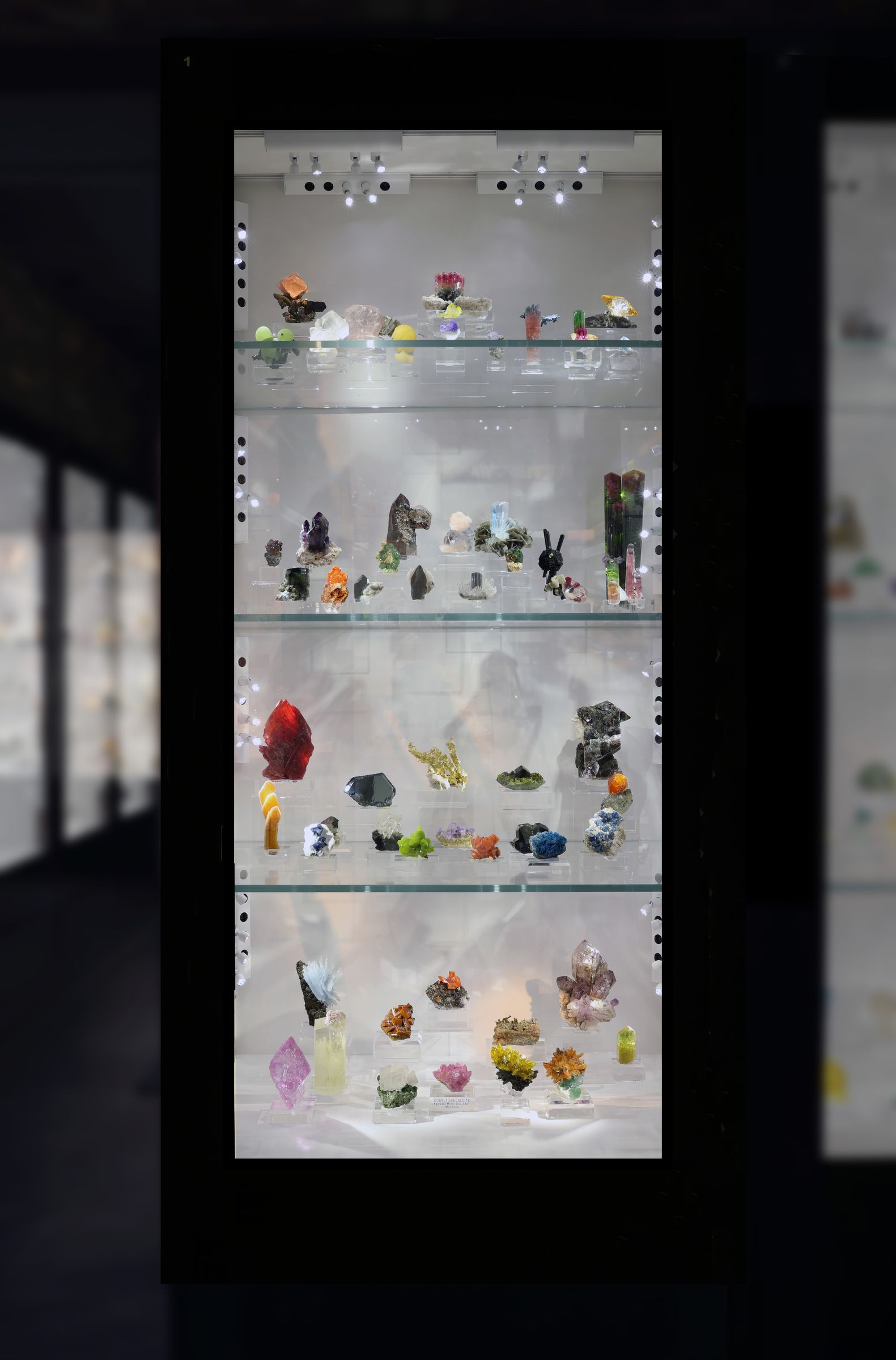 An illuminated showcase in the private museum of The Wildfang Collection